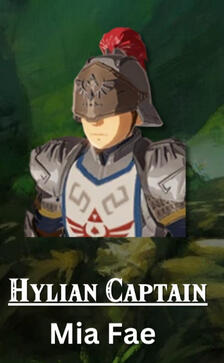 Hyrulian Captain